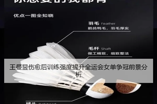 王曼昱伤愈后训练强度提升全运会女单争冠前景分析
